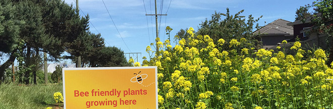 Pollination corridor in Richmond