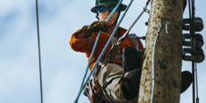 Apprentice power line technician climbing pole