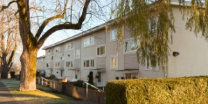Multi-unit residential building behind tree A multi-unit residential building behind tree.