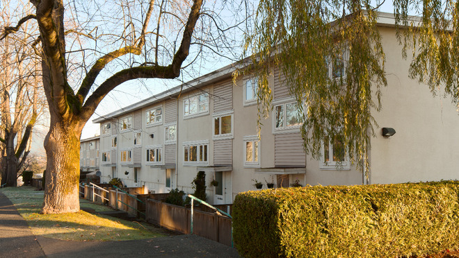 Multi unit residential building behind tree