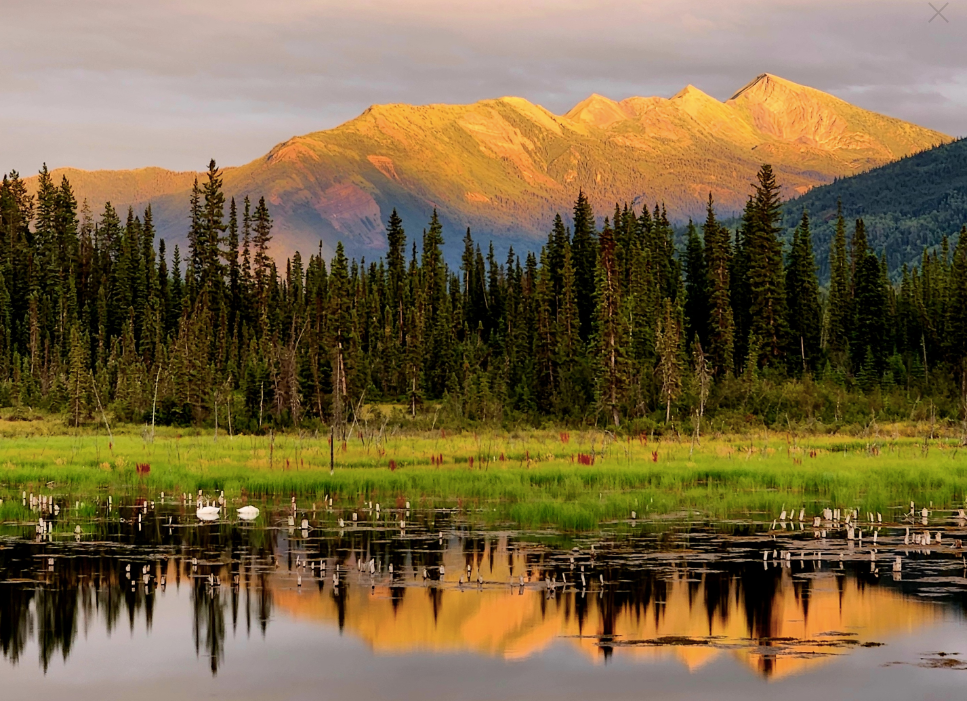 Campsite along the Toad River 