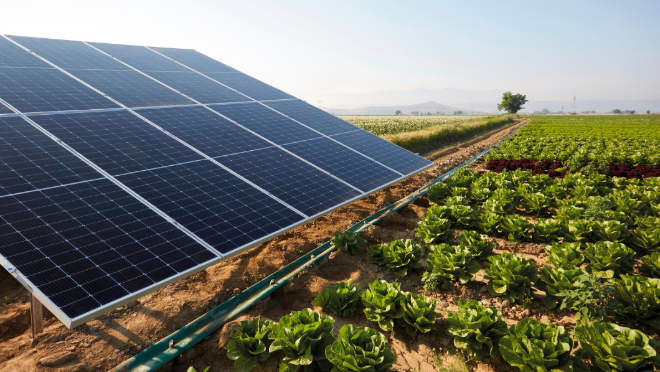 Solar panels in a field