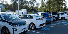 A row of electric cars plugged in to charging stations in a parking lot.